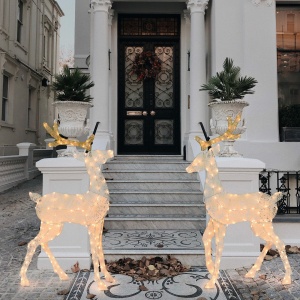 Renna 2D modello S H140cm Serie LHC - Lotti - immagine 9