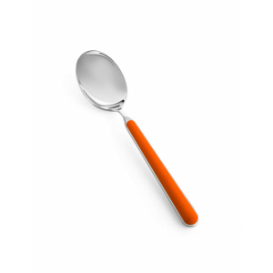 Posto Tavola 4 pezzi posate Fantasia Carota - Mepra - immagine 4