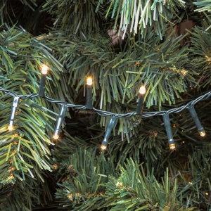 Catenaria 30,5m MiniCluster ø6cm NTL 1500 LED BIANCO CALDO - Lotti - immagine 5