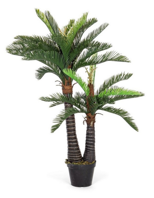 0172628_-pianta_palma_c_vaso_36foglie_2tr_h150_1648382861