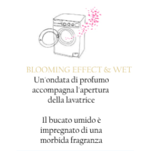 Detersivo Bucato 3 in 1 Home sweet home 1L - Maison Berger - immagine 4