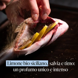 Fish Rub barbecue 150 gr - BBQ King - immagine 5