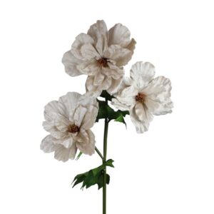 Fiore Velluto Hibiscus rosa cipria H.140 cm - Dijk