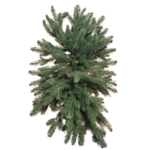 Centrotavola di Pino 100% PE L.65 cm